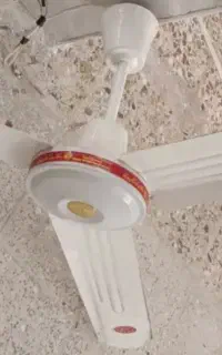 پنکه سقفی معاوضه با پنکه زمینی