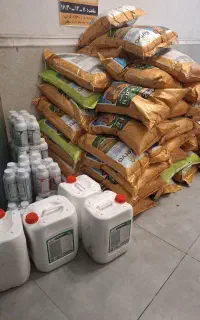 کودارگانیک معجزه گرصرغه جویی درآب ریشه زنی انفجاری