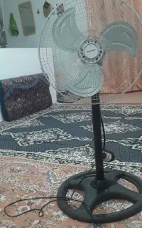 پنکه