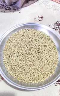 عدس و نخود کارزان