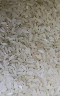 معاوضه برنج لنجان با گردو