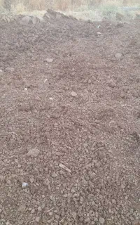 کود دامی