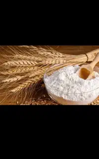 آرد نانوایی