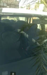 ماشین مدل 1387بدون رنگ شاسی سالم