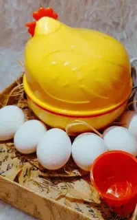 تخم مرغ پز طرح مرغ