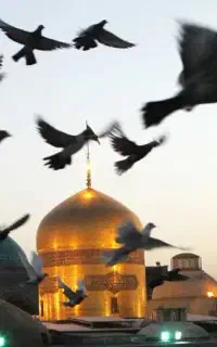 کاروان