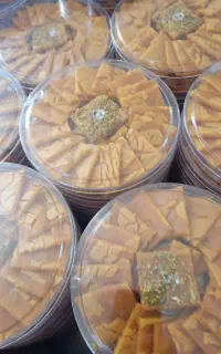 مجله وکتابی