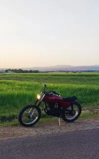 موتور
