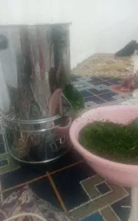 سبزی خرد کن در حد نو