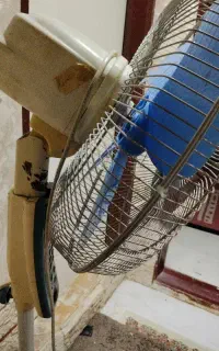 پنکه ایستاده