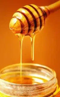 آموزش مجازی طب سنتی و درآمدزایی برای تمام افراد