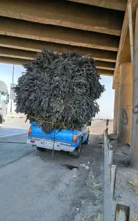 ضایعات نوار تیپ نوار قطره ای