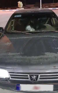 ۴۰۵فروش فوری