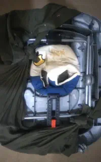 کالسکه و رورورک