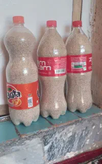 بذر