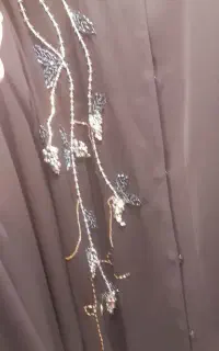 عبا مجلسی