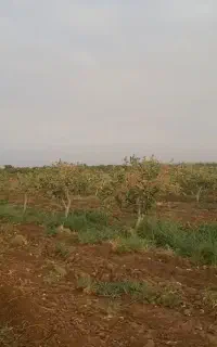 کود و سم با ۳۰ درصد تخفیف