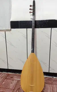 ساز الیاسی