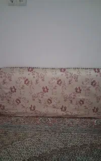 دو جفت پشتی