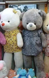 خرس یک متری و دو متری