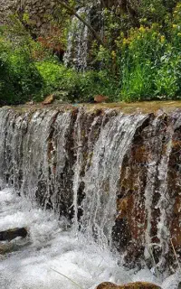تور گردشگری بانوان vip
