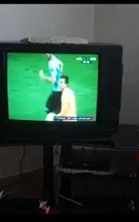 تلویزون