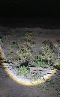 اسمال سان 235A