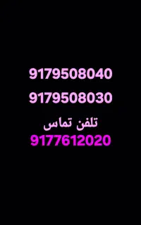 9179508040