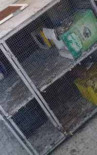قفس کبوتر