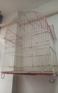 قفس پرنده