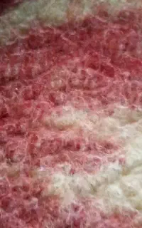 زیرانداز و پتو پیدا شده