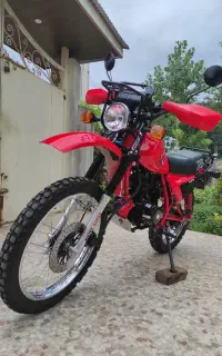 ایکسل 250 نیکتاز مدل 1404