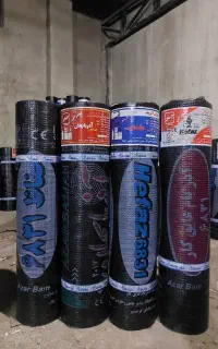 ایزوگام