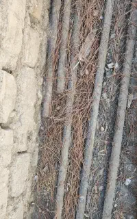 میلگرد