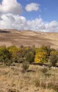 آذربایجان شرقی چارایماق