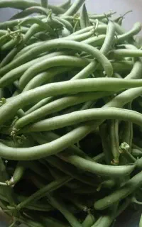 لوبیا سبز گوشتی