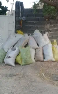 کود کیسه ای گاو