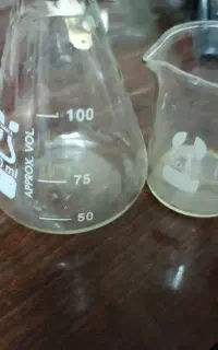 بشر و ارلن مایر