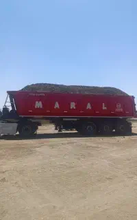 کود گاوی