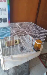 قفس پرنده