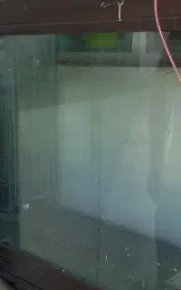 اگواریوم بزرگ