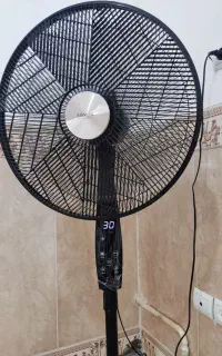 پنکه