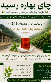 فرصت سرمایه گذاری محدود