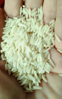 بدون واسطه خرید کنید