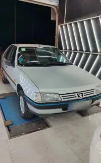 پژو 405 88 تک برگ