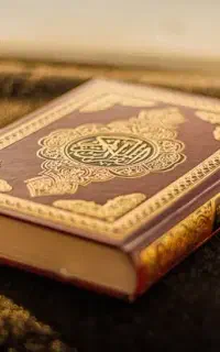 سرکتاب