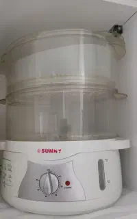بخارپز نو