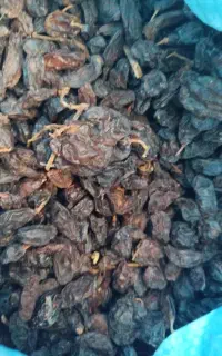 مویز گوشتی