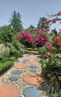 سرایدار ویلا زن و شوهر