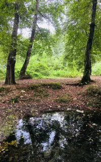 راهنمایی برای طبیعت گردی
